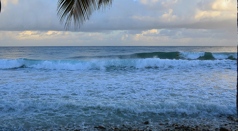 DSC 5638 - The Jamaica Surf trip Experience