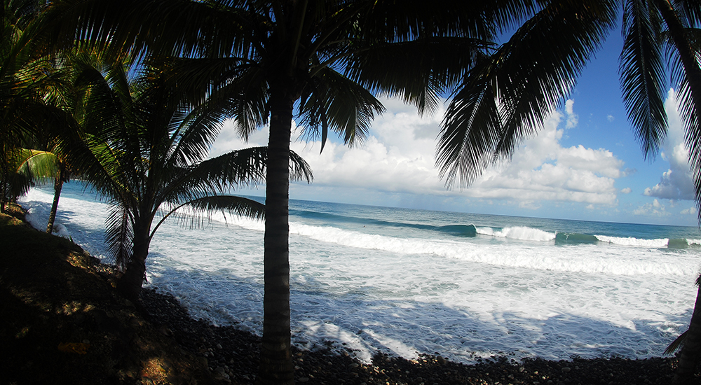 DSC 9327 1 - The Jamaica Surf trip Experience