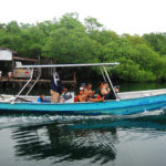 DSC 7526 150x150 - Bocas del Toro - Panama