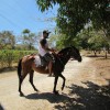 Taking a ride on the pool guys horse!